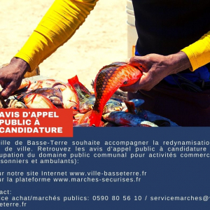 Avis d'appel public à candidature pour l'occupation du domaine public communal pour activités commerciales (poissonniers et ambulants)